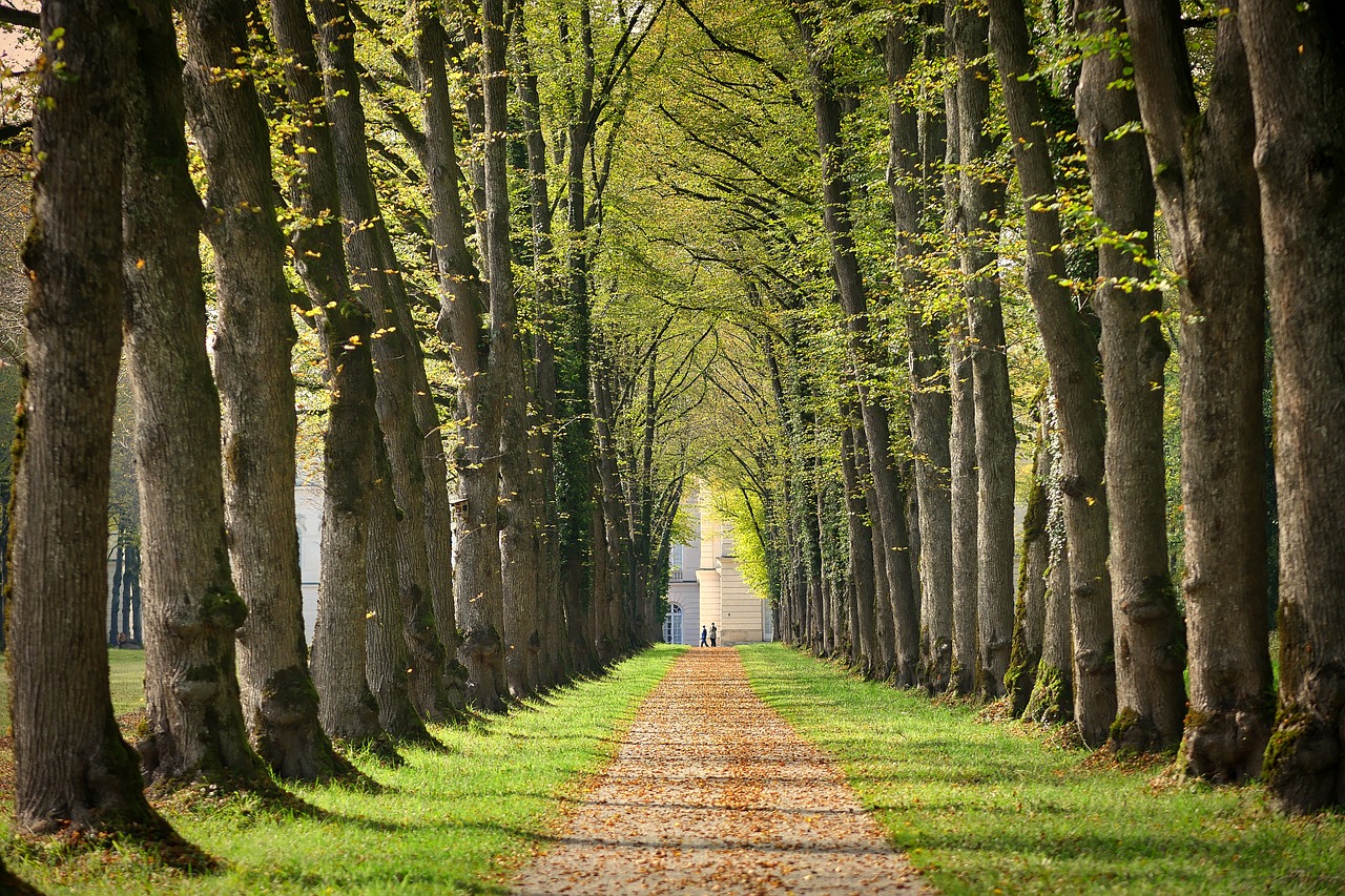 fuerwen allee ciemsee